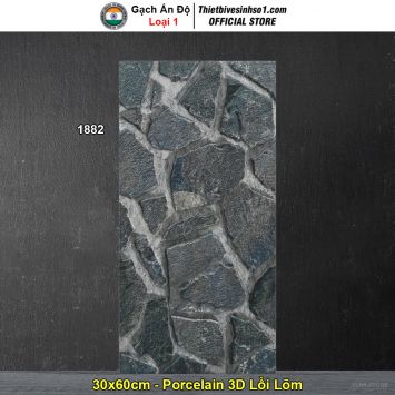 Gạch Ốp Trang Trí 30x60 Ấn Độ 1882