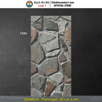 Gạch Ốp Trang Trí 30x60 Ấn Độ 1895