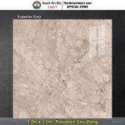 Gạch 1,2m x 1,2m Ấn Độ Esperda Grey