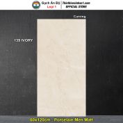 Gạch 60x120 Ấn Độ 139 IVORY