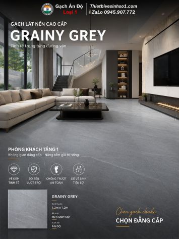 Gạch 1,2m x 1,2m Ấn Độ Grainy Grey