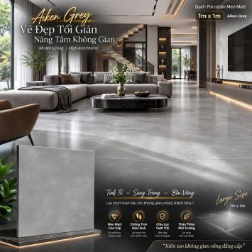 Gạch 1m x 1m Ấn Độ Aiken Grey