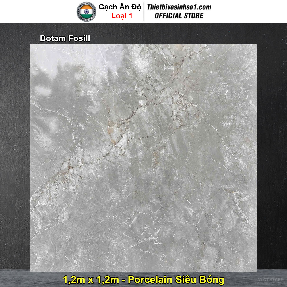 Gạch 1,2m x 1,2m Ấn Độ Botam Fosill