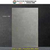 Gạch 1,2m x 1,8m Ấn Độ 1218-1-107