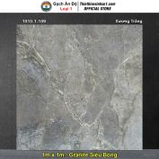 Gạch 1m x 1m Ấn Độ 1010-1-109