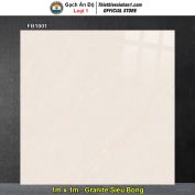 Gạch 1m x 1m Ấn Độ FB1001
