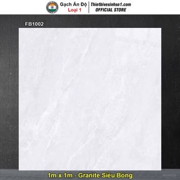 Gạch 1m x 1m Ấn Độ FB1002