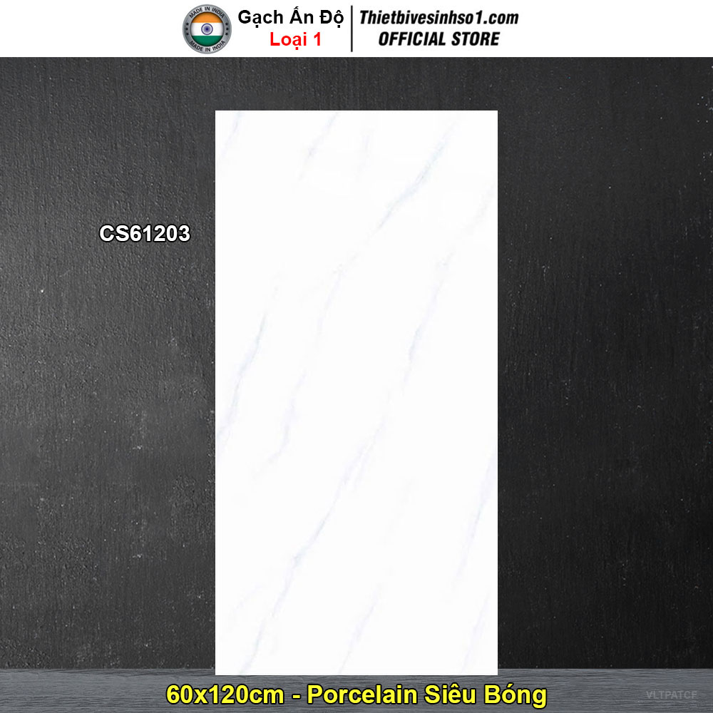 Gạch 60x120 Ấn Độ CS61203