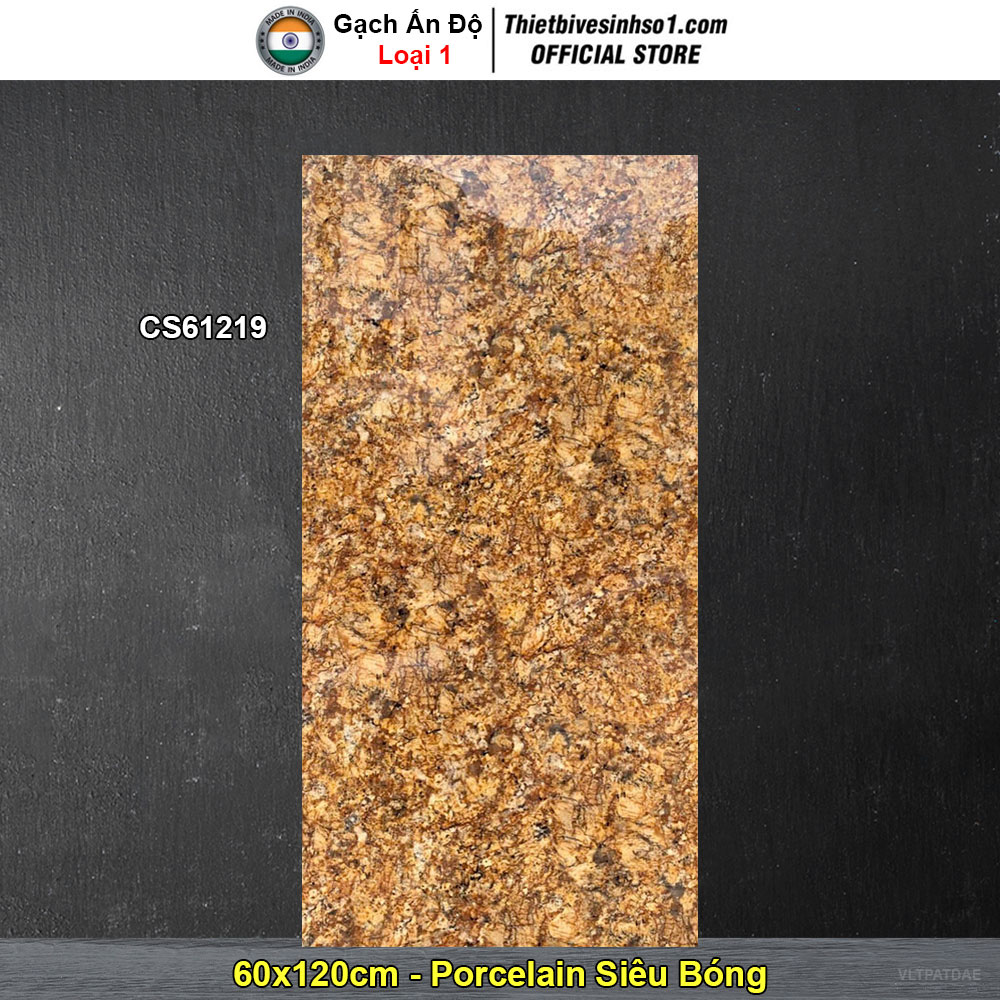 Gạch 60x120 Ấn Độ CS61219 Gạch 60x120 Ấn Độ CS61219