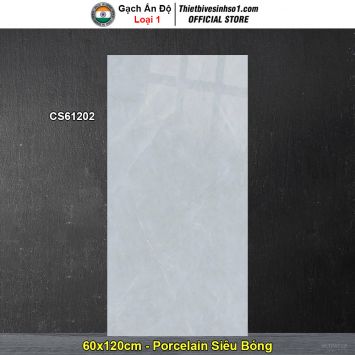 Gạch 60x120 Ấn Độ CS61202