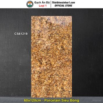 Gạch 60x120 Ấn Độ CS61219