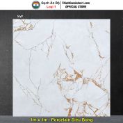 Gạch 1m x 1m Ấn Độ SW
