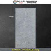 Gạch 60x120 Ấn Độ E.013G