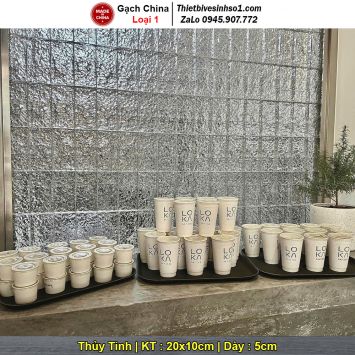 Gạch Kính Đặc 10x20 RR-016