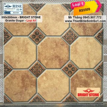 Gạch 50x50 Rise RS5509