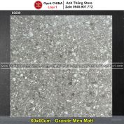 Gạch 60x60 Trung Quốc 66089