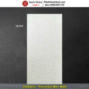 Gạch 30x60 Trung Quốc 36200 Terrazzo