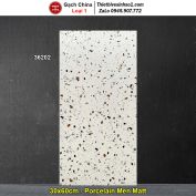 Gạch 30x60 Trung Quốc 36202 Terrazzo