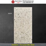 Gạch 30x60 Trung Quốc 36203 Terrazzo