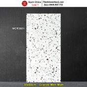 Gạch 30x60 Trung Quốc MCR3601 Terrazzo