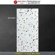 Gạch 30x60 Trung Quốc MCR3602 Terrazzo