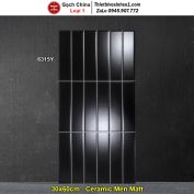 Gạch Ốp Trang Trí 30x60 Trung Quốc 6315Y