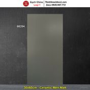 Gạch Ốp Trang Trí 30x60 Trung Quốc 66204