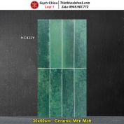 Gạch Ốp Trang Trí 30x60 Trung Quốc HC822Y