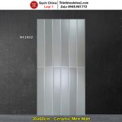 Gạch Ốp Trang Trí 30x60 Trung Quốc N12X02