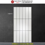 Gạch Ốp Trang Trí 30x60 Trung Quốc Y6861A