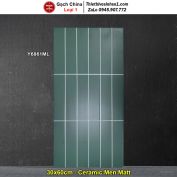 Gạch Ốp Trang Trí 30x60 Trung Quốc Y6861ML