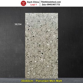 Gạch 30x60 Trung Quốc 36204 Terrazzo