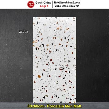 Gạch 30x60 Trung Quốc 36205 Terrazzo