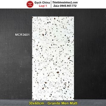 Gạch 30x60 Trung Quốc MCR3601 Terrazzo