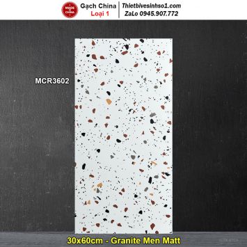 Gạch 30x60 Trung Quốc MCR3602 Terrazzo