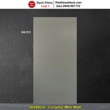 Gạch Ốp Trang Trí 30x60 Trung Quốc 66203