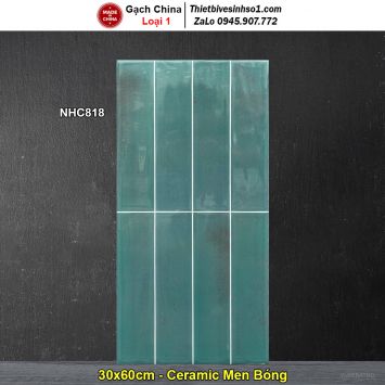 Gạch Ốp Trang Trí 30x60 Trung Quốc NHC818