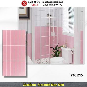 Gạch Ốp Trang Trí 30x60 Trung Quốc Y18215