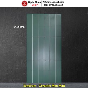 Gạch Ốp Trang Trí 30x60 Trung Quốc Y6861ML