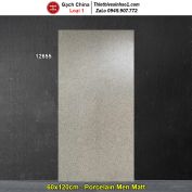 Gạch 60x120 Trung Quốc 12655 Terrazzo