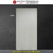 Gạch 60x120 Trung Quốc 12656 Terrazzo