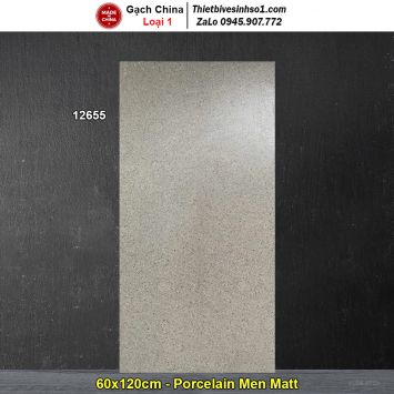 Gạch 60x120 Trung Quốc 12655 Terrazzo