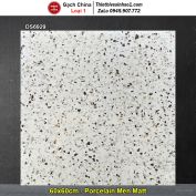 Gạch 60x60 Trung Quốc DS6929 Terrazzo