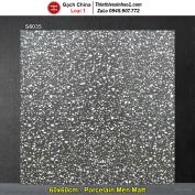 Gạch 60x60 Trung Quốc S6035 Terrazzo