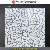 Gạch 60x60 Trung Quốc S6037 Terrazzo