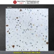 Gạch 60x60 Trung Quốc S6038 Terrazzo