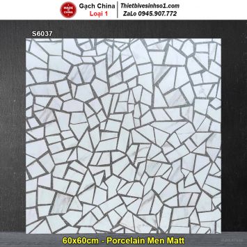 Gạch 60x60 Trung Quốc S6037 Terrazzo