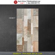 Gạch Ốp Trang Trí 30x60 Trung Quốc HA3617