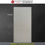 Gạch Ốp Trang Trí 30x60 Trung Quốc HA3629