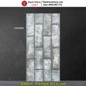 Gạch Ốp Trang Trí 30x60 Trung Quốc HA3655